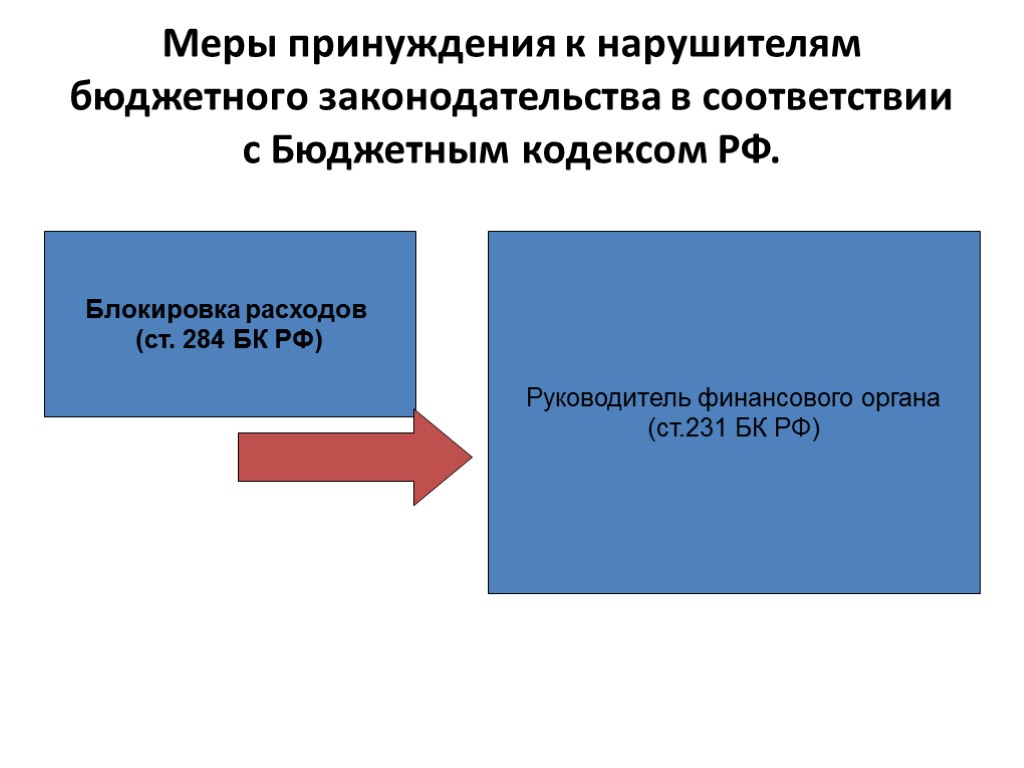 Меры принуждения к нарушителям бюджетного законодательства в соответствии с Бюджетным кодексом РФ. Блокировка расходов